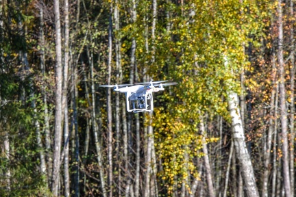 Sortie des Moniteurs et comité