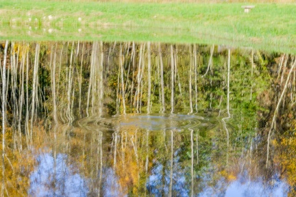 Sortie des Moniteurs et comité