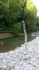 Découverte d'une rivière