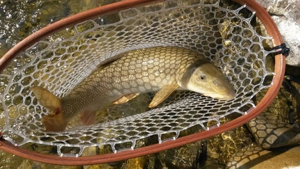 Découverte d'une rivière