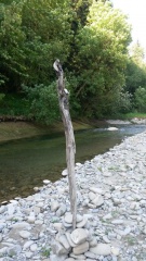 Découverte d'une rivière