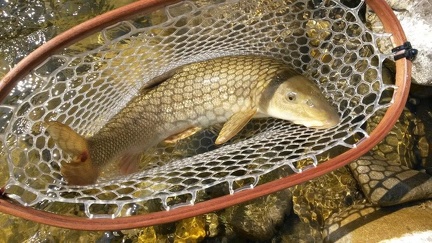 Découverte d'une rivière