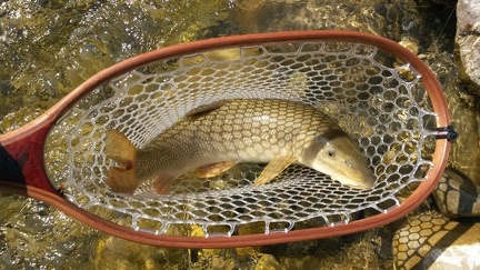 Découverte d'une rivière