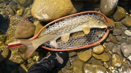 Découverte d'une rivière