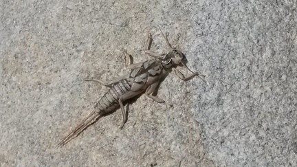 Découverte d'une rivière