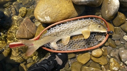 Découverte d'une rivière