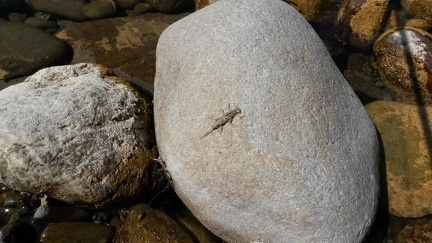 Découverte d'une rivière