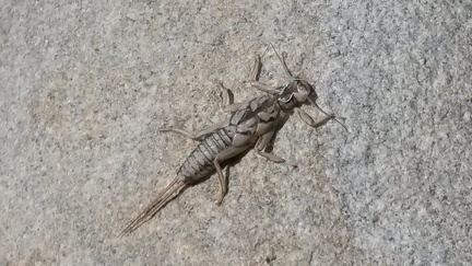 Découverte d'une rivière