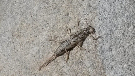 Découverte d'une rivière