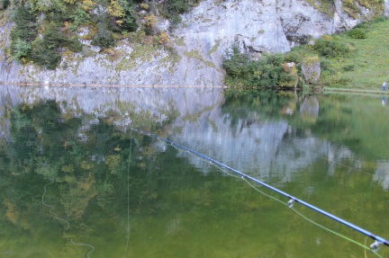 Pêche aux carnassiers