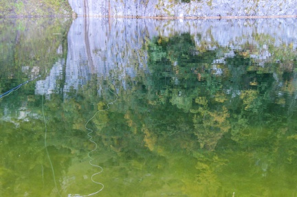 Pêche aux carnassiers