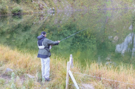 Pêche aux carnassiers