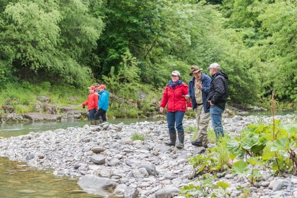 Cours d'initiation pour entreprise