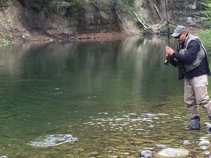 Cours nymphes au fil