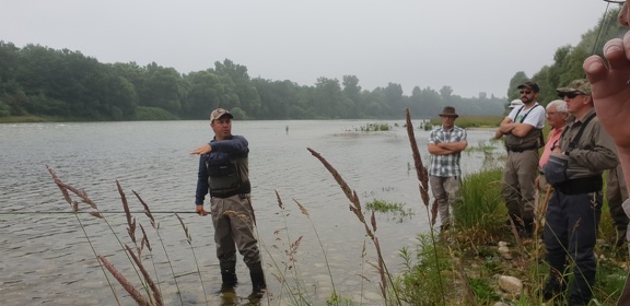 Initiation au Spey Cast sur le Rhin avec Philippe koehler 