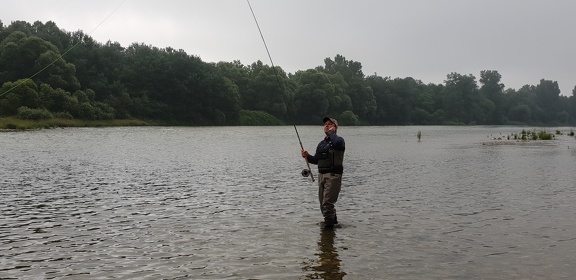Initiation au Spey Cast sur le Rhin avec Philippe koehler 