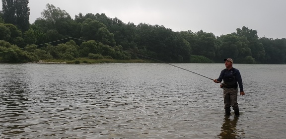 Initiation au Spey Cast sur le Rhin avec Philippe koehler 