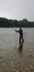 Initiation au Spey Cast sur le Rhin avec Philippe koehler 