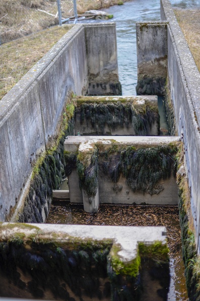 Barage de la Mégrauge -17 mars 2018-104.jpg