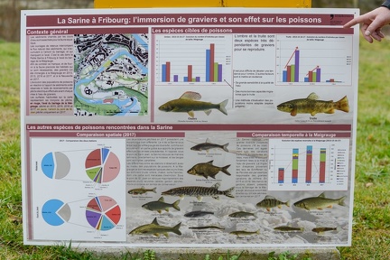 Sortie barrage de la Mégrauge