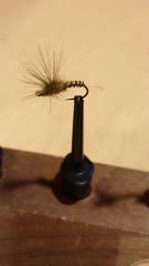 Soirée montage de mouches